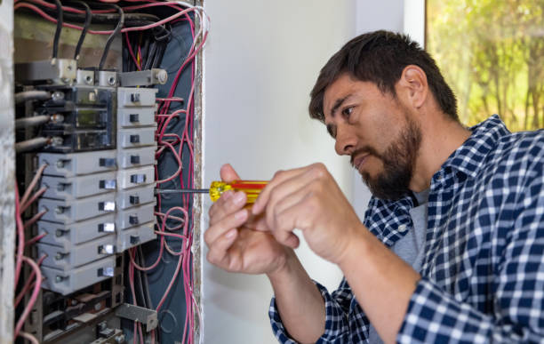 Best Affordable Electrician  in Mount Vernon, IL
